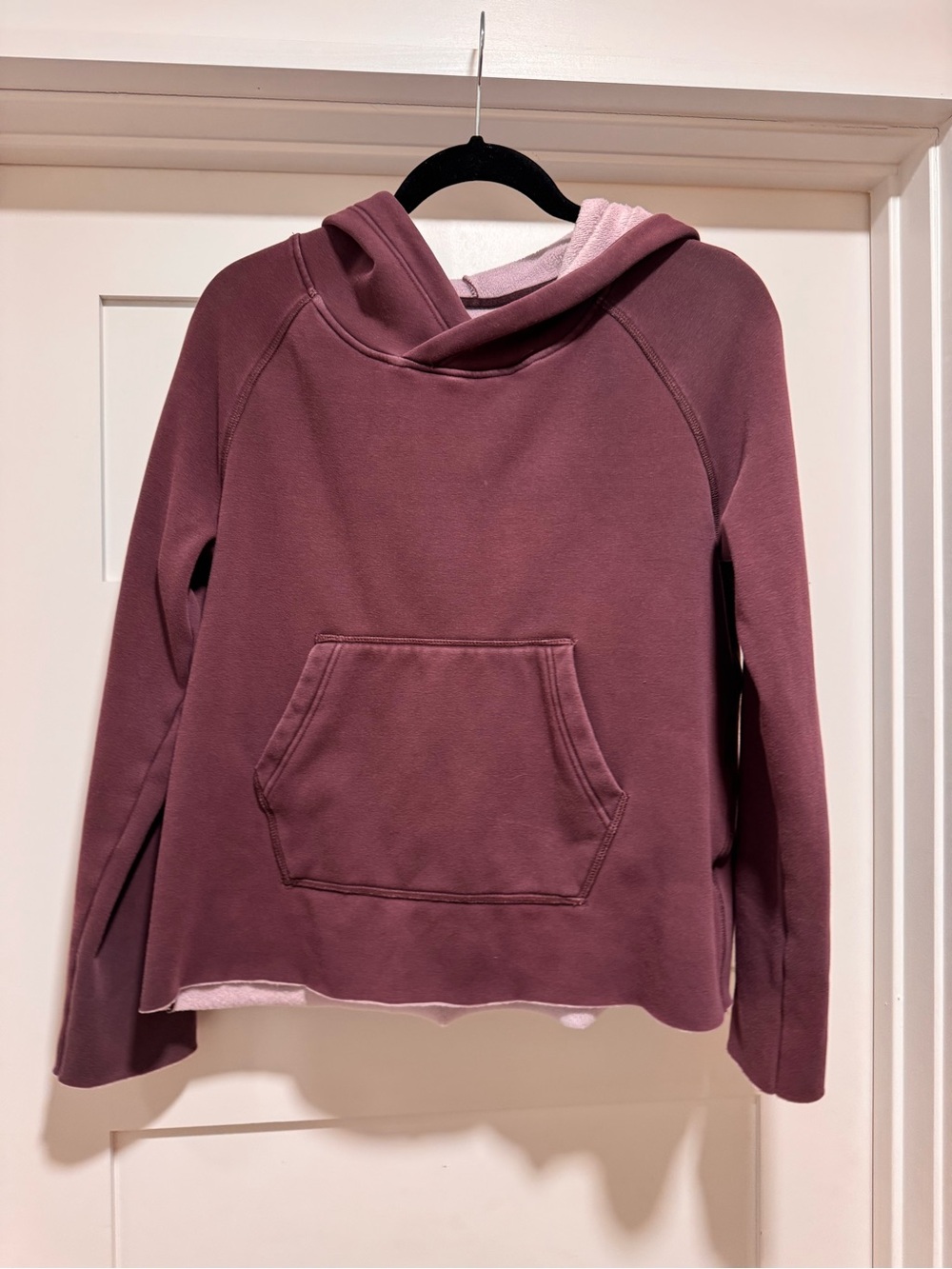 UGG Women's Cozy Hooded Pullover Sweater